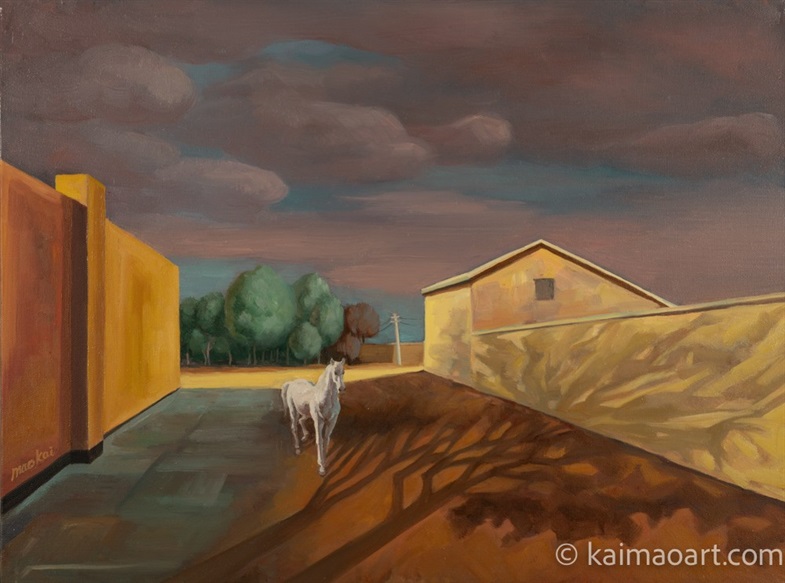 The white pony and the village